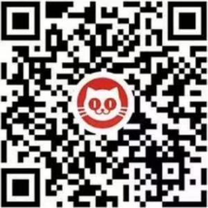 猫眼电影小程序