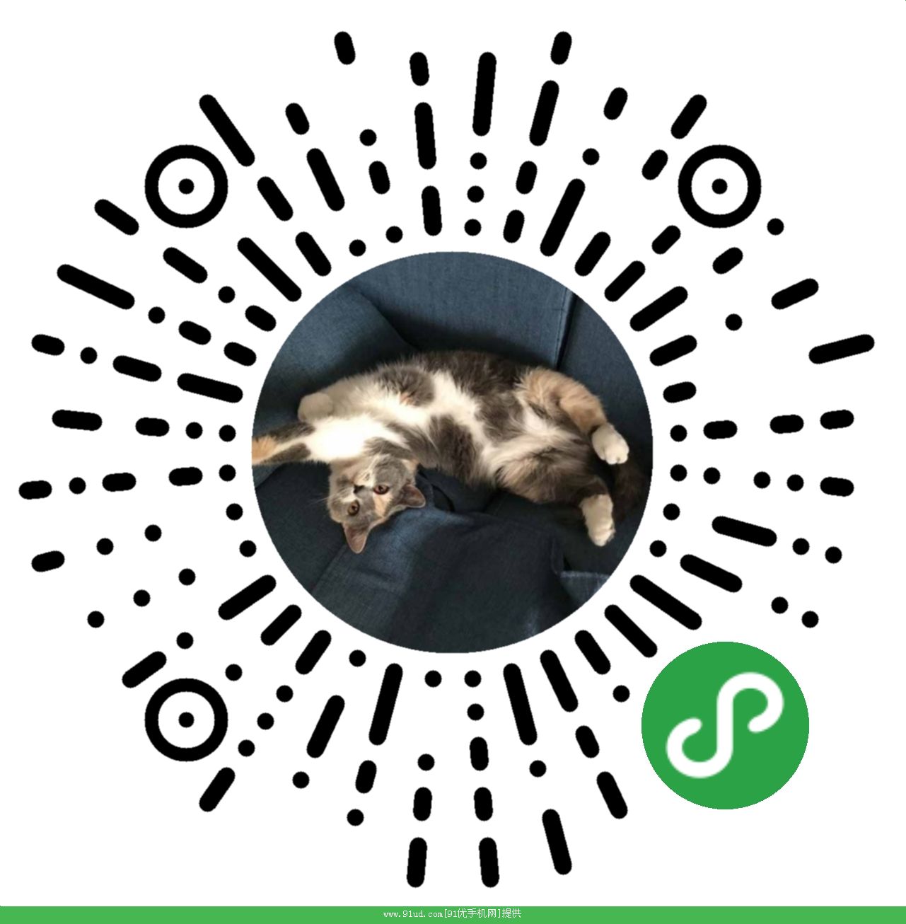 宠萌小圈二维码 宠萌小圈二维码