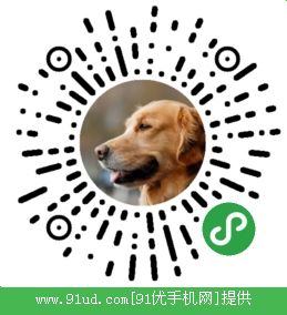 宠物寻宠启事二维码