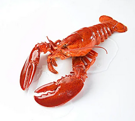 OpenClaw 别乱装！普通人真的