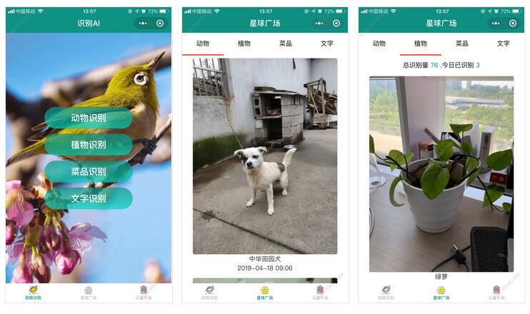     识图AI小程序截图 识图AI小程序截图 识图AI小程序截图 识图AI小程序截图 